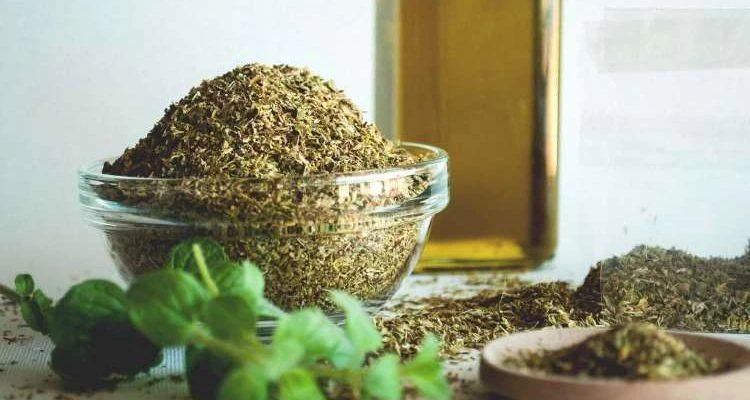 «Θαυματουργή» η ρίγανη: Από ποιες ασθένειες προστατεύει